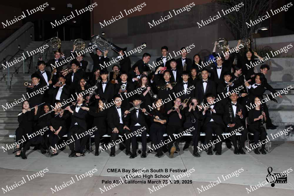 Musical Images